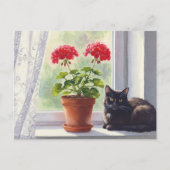 Rode Geranium en Zwarte Kat Briefkaart (Voorkant)