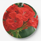 Rode Geranium Papieren Bordje (Voorkant)