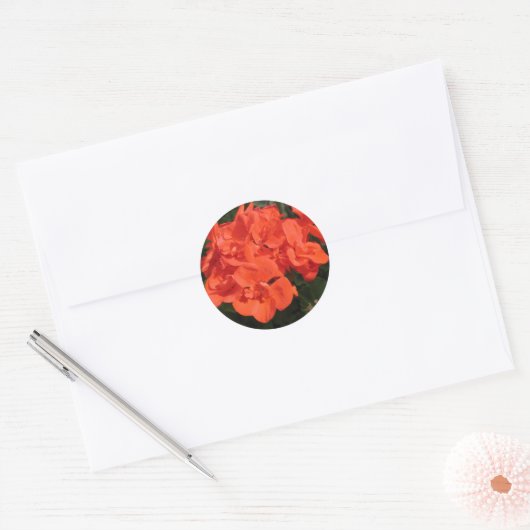 rode geranium sticker (Envelop)