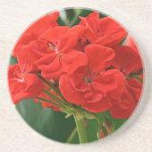 Rode Geranium Zandsteen Onderzetter (Voorkant)