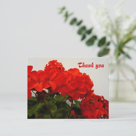Rode geraniums briefkaart (Staand voorkant)