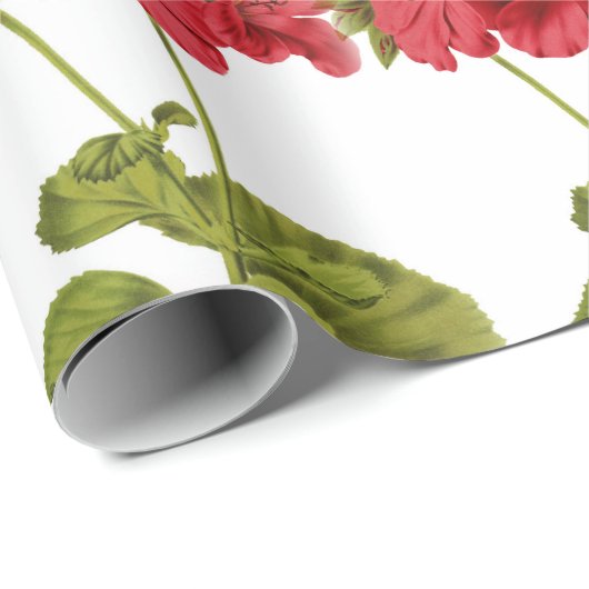  Rode Geraniums Cadeaupapier (Rol Hoek)
