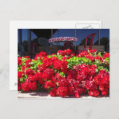 Rode Geraniums Cafe Briefkaart (Voorkant / Achterkant)