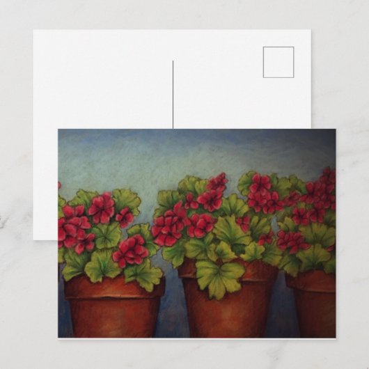 Rode Geraniums in kleipotten Briefkaart (Voorkant / Achterkant)