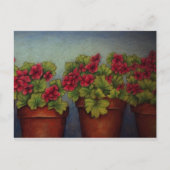 Rode Geraniums in kleipotten Briefkaart (Voorkant)