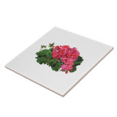 Rode Geraniums met Knoppen Tegeltje (Zijkant)
