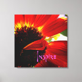 Rode Gerber Daisy Close-up Foto Krachtige Moderne  Canvas Afdruk (Voorkant)