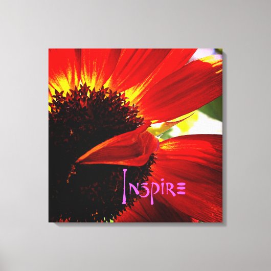 Rode Gerber Daisy Close-up Foto Krachtige Moderne Canvas Afdruk (Voorkant)