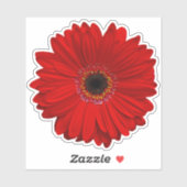 Rode Gerber Daisy Flower Kiss-Cut Sticker (Vel)