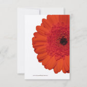 Rode Gerber-Daisy-Huwelijks-RSVP-Kaarten RSVP Kaartje (Achterkant)