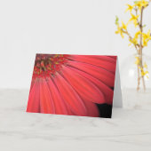 Rode Gerber Daisy Kaart (Gele Bloem)
