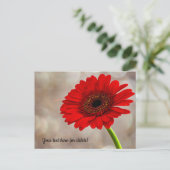 Rode Gerbera Ansichtkaart Briefkaart (Staand voorkant)