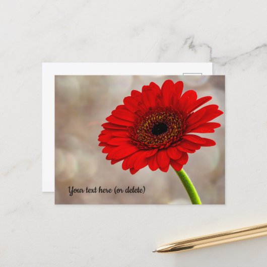Rode Gerbera Ansichtkaart Briefkaart (Voorkant / Achterkant in situ)