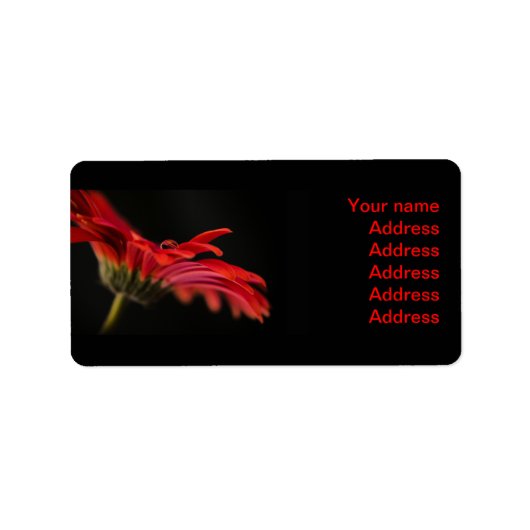 Rode Gerbera Bloem Bruiloft Adresetiketten Etiket (Voorkant)