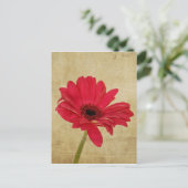 Rode Gerbera Briefkaart (Staand voorkant)