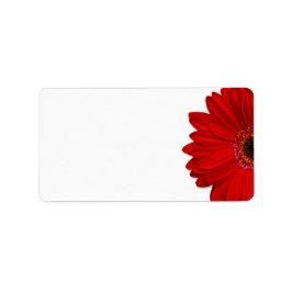 Rode Gerbera Daisy Bruiloft Blank Adres Label