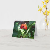 Rode Gerbera Daisy notecard Kaart (Gele Bloem)