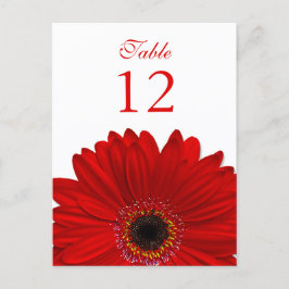 Rode Gerbera Daisy Tafelnummer Kaart Plat