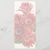 Rode Gerbera Madeliefjes Menu (Achterkant)