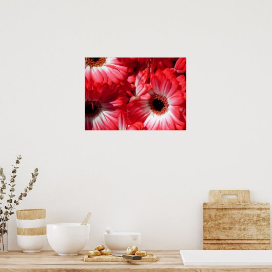 rode gerbera poster (Keuken)
