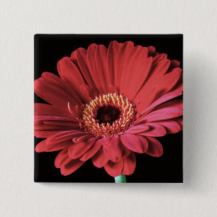 Rode Gerbera vierkant Vierkante Button 5,1 Cm
