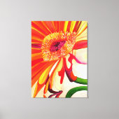 Rode Gerbera waterverf schilderkunst Canvas Afdruk (Voorkant)