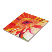 Rode Gerbera waterverf schilderkunst Tegeltje (Zijkant)