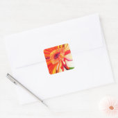 Rode Gerbera waterverf schilderkunst Vierkante Sticker (Envelop)