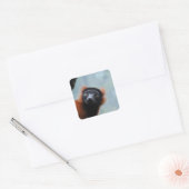 Rode gerimpelde Lemur Stickers (Envelop)