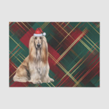 Rode geruite Kerstmis Afghaanse windhond Hond Vaka