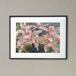 Rode gespikkelde Cymbidium Orchideeën Bloemen Poster