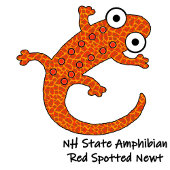 Rode gevlekte salamander op de bosbodem zwart Case-Mate iPhone case