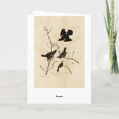 Rode gevleugelde Blackbird - Audubon's vogels van  Kaart (Achterkant)
