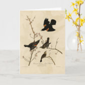 Rode gevleugelde Blackbird - Audubon's vogels van  Kaart (Gele Bloem)