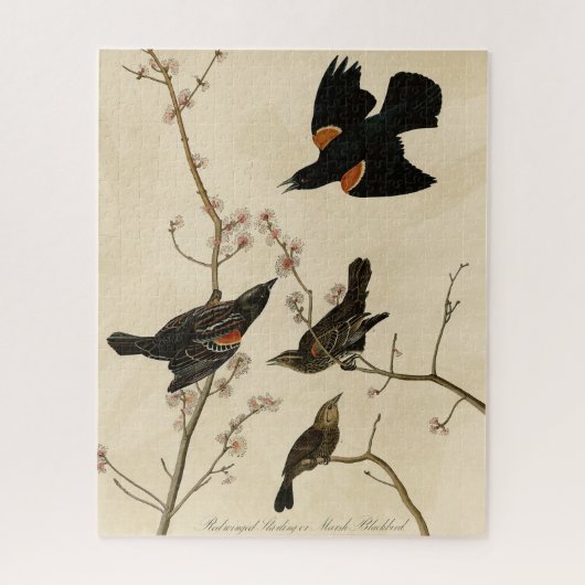 Rode gevleugelde Blackbird - Audubon's vogels van  Legpuzzel (Verticaal)