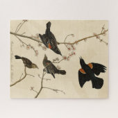 Rode gevleugelde Blackbird - Audubon's vogels van  Legpuzzel (Horizontaal)