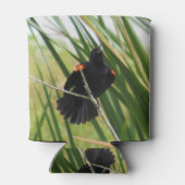 Rode gevleugelde zwarte vogel - achtertuin vogel K Blikjeskoeler (Achterkant)