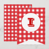 Rode Gingham Party Flag Bunting Banner Post Card Briefkaart (Voorkant / Achterkant)