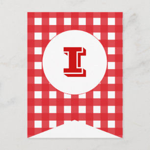 Rode Gingham Party Flag Bunting Banner Post Card Briefkaart