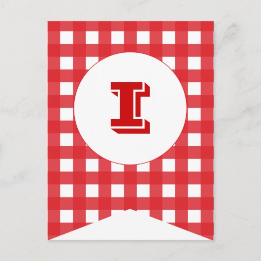 Rode Gingham Party Flag Bunting Banner Post Card Briefkaart (Voorkant)
