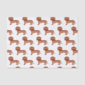 Rode gladde vacht Dachshond Leuke hond patroon Tissuepapier (Voorkant)