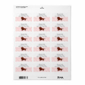 Rode gladharige Dachshund en roos adreslabels Etiket (Full Sheet)