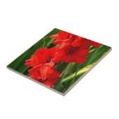 Rode Gladiolas Tegeltje (Zijkant)