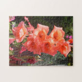 Rode Gladiolen Bloemen Legpuzzel (Horizontaal)