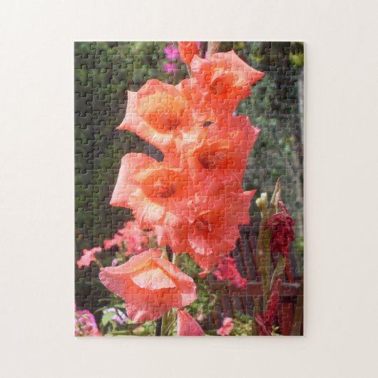 Rode Gladiolen Bloemen Legpuzzel (Verticaal)