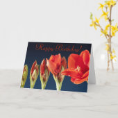 Rode Gladiolus Verjaardag Kaart (Gele Bloem)