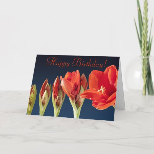 Rode Gladiolus Verjaardag Kaart (Voorkant)