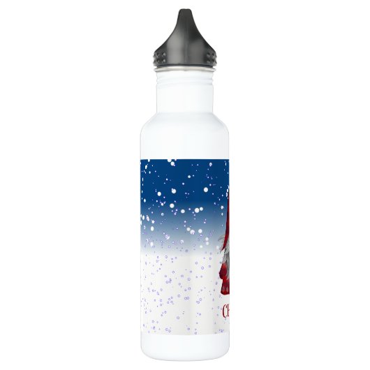 Rode gnoom op sneeuw waterfles  (Links)