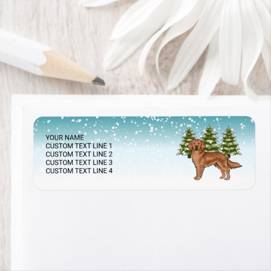 Rode Golden Retriever Hond Blauw Winter Kerstmis Etiket (Insitu)