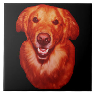 Rode Golden Retriever-hond liefhebber keuken Tegeltje